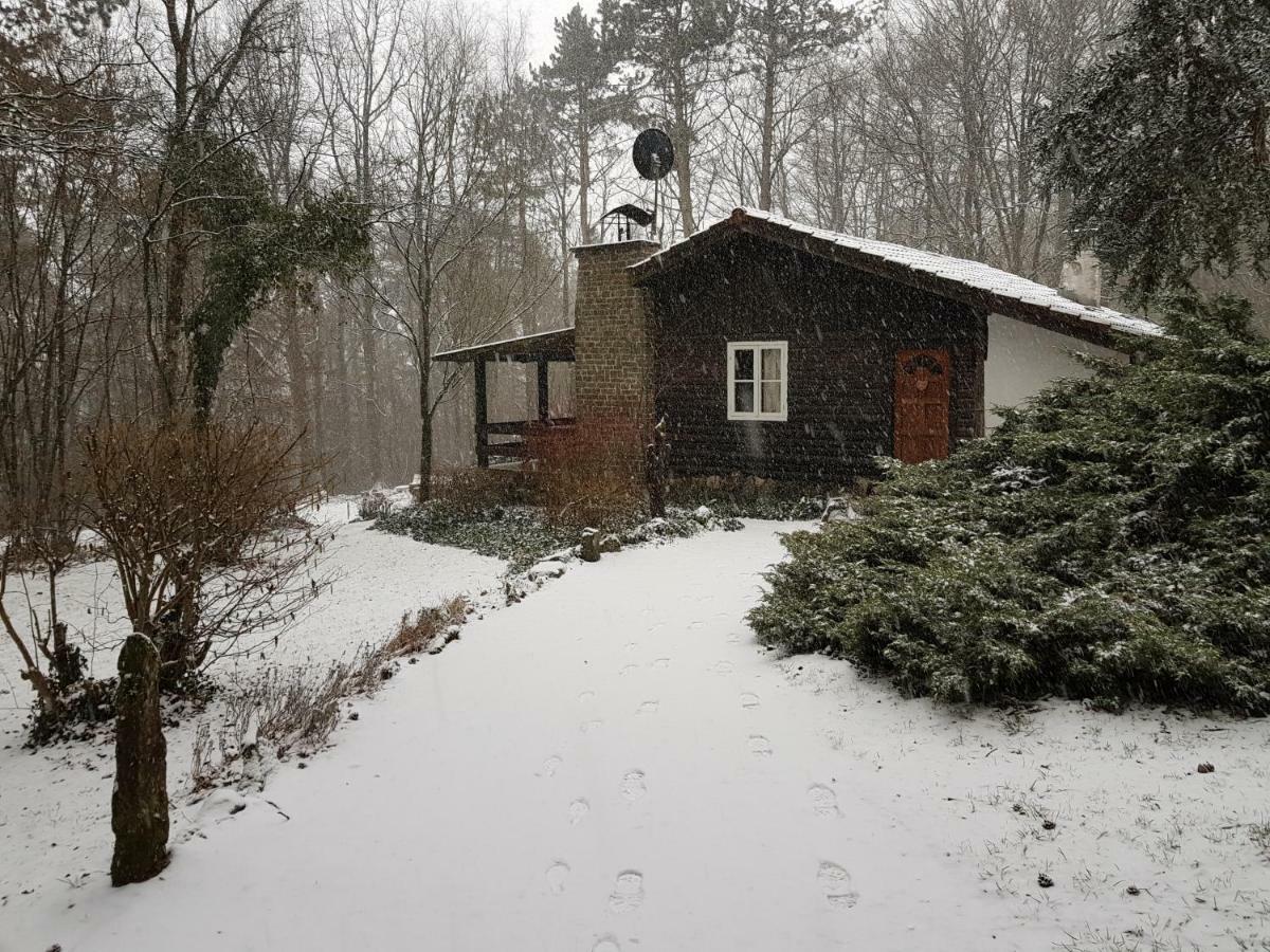 Comblain-Fairon Chalet Des Pins D'Autriche מראה חיצוני תמונה